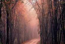 梅西第8次获奖后致敬马拉多纳：生日快乐，这座金球奖同样属于你环球时报.