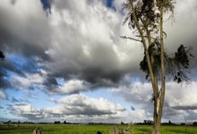 九游体育官网：中超首轮：四强开门红 四场战平手.